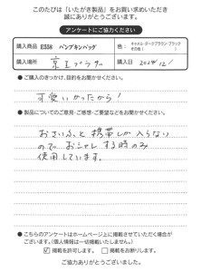E558 パンプキンバッグをお買い求めくださった方のお声