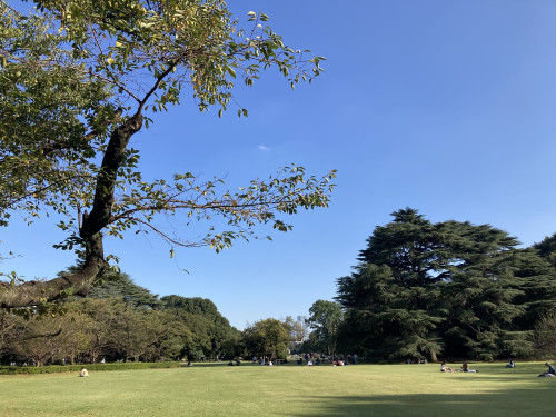 秋の新宿を歩いてみませんか？