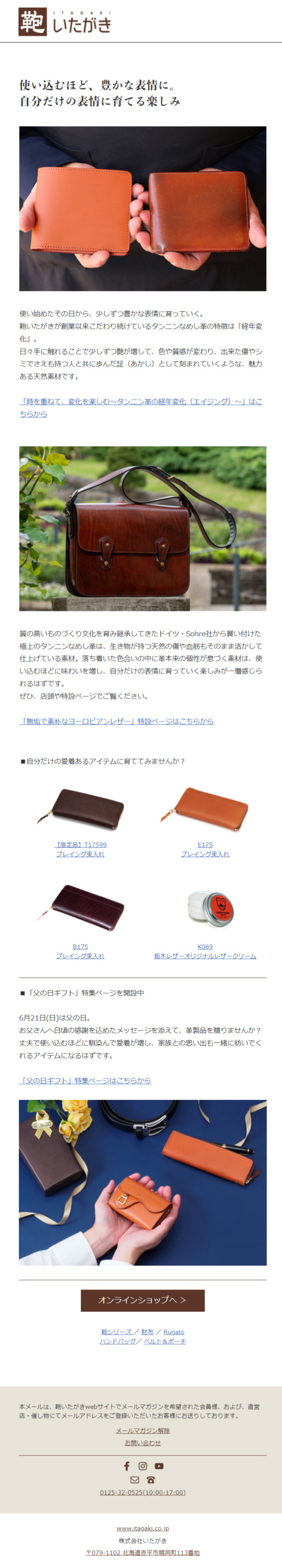 商品紹介メールマガジンサンプル サムネイル