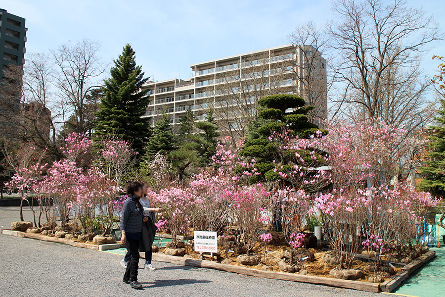 さっぽろ園芸市の様子