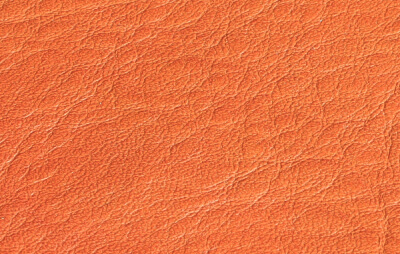 シボの写真2枚目