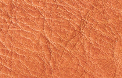 シボの写真4枚目