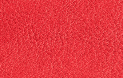 シボの写真2枚目